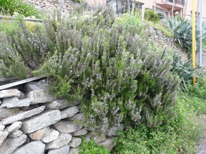 Click here for full details.